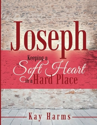 Joseph - Keeping a Soft Heart in a Hard Place by Harms, Kay