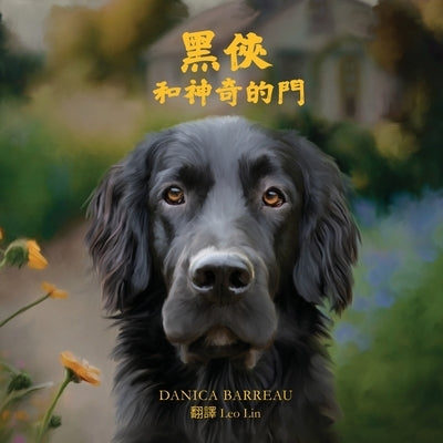 Rook and the Magic Door (Chinese Edition) &#40657;&#20448;&#21644;&#31070;&#22855;&#30340;&#38272; by Barreau, Danica