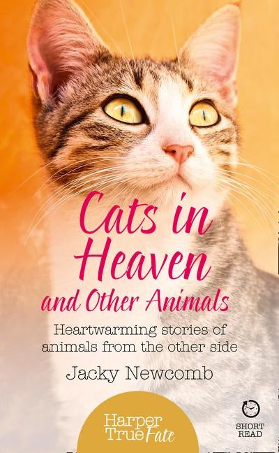 Cats in Heaven: And Other Animals. Heartwarming stories of animals from the other side. by Newcomb, Jacky