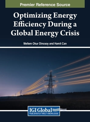 Optimizing Energy Efficiency During a Global Energy Crisis by Okur DinÃ§soy, Meltem