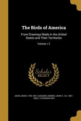 The Birds of America: From Drawings Made in the United States and Their Territories; Volume v 3 by Audubon, John James 1785-1851