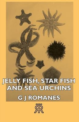 Jelly Fish, Star Fish and Sea Urchins by Romanes, G. J.