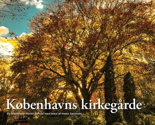 Københavns kirkegårde by Dybdal, Martin