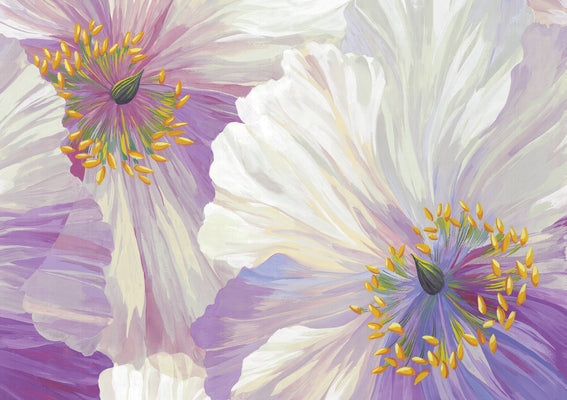 Poppies in Bloom Note Cards (14 Cards, 15 Self-Sealing Envelopes) by Mineeda, Atelier