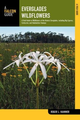 Everglades Wildflowers by Hammer, Roger L.