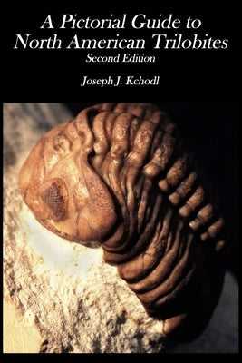 Pictorial Guide to North American Trilobites by Kchodl, Joseph J.