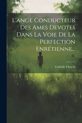 L'ange Conducteur Des Ames Devotes Dans La Voie De La Perfection Enrétienne... by Church, Catholic