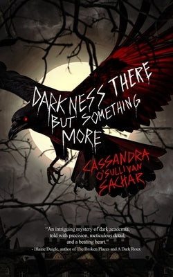 Darkness There But Something More by Sachar, Cassandra