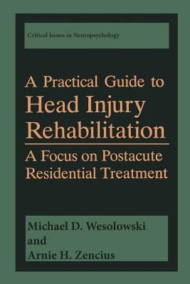 A Practical Guide to Head Injury Rehabilitation: A Focus on Postacute Residential Treatment by Wesolowski, Michael D.