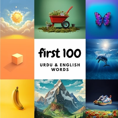 First 100 Urdu & English Words by Heidary, Aisling
