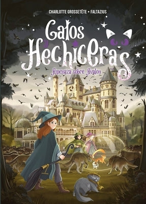 Gatos Y Hechiceras - Vol II by Grossetete, Charlotte