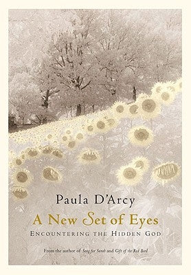 A New Set of Eyes Encountering the Hidden God by D'Arcy, Paula