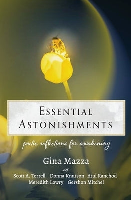 Essential Astonishments: Poetic Reflections for Awakening by Terrell, Scott A.