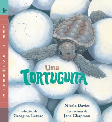 Una Tortuguita: Lee Y Asómbrate by Davies, Nicola