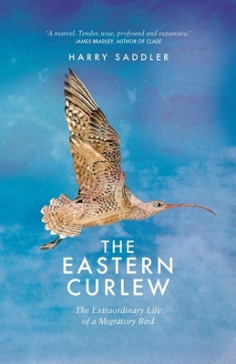 The Eastern Curlew by Curlew, Harry
