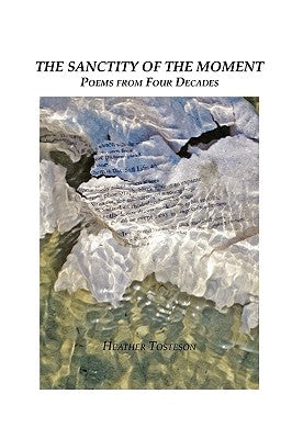 The Sanctity of the Moment by Tosteson, Heather