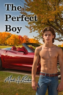 The Perfect Boy by Roeder, Mark a.