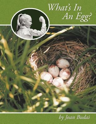 What's In An Egg? by Budai, Joan