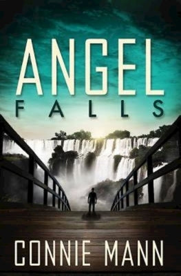 Angel Falls by Mann, Connie