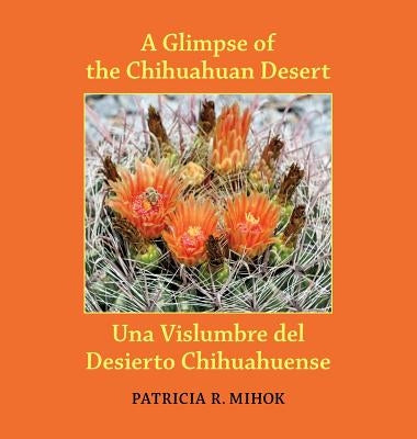 A Glimpse of the Chihuahuan Desert/Una Vislumbre del Desierto Chihuahuense by Mihok, Patricia R.
