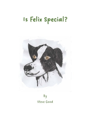 Is Felix Special? by Good, Steve