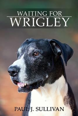 Waiting For Wrigley by Sullivan, Paul J.