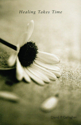 Healing Takes Time by Gallagher, David P.