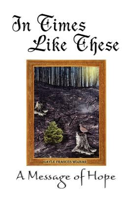 In Times Like These: A Message of Hope by Wojnar, Gayle Frances