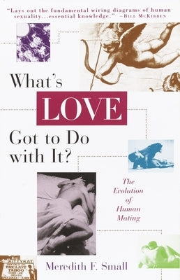 What's Love Got to Do with It?: The Evolution of Human Mating by Small, Meredith