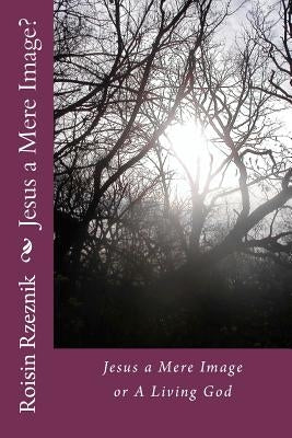Jesus a Mere Image?: Jesus a Mere Image or A Living God by Rzeznik, Roisin