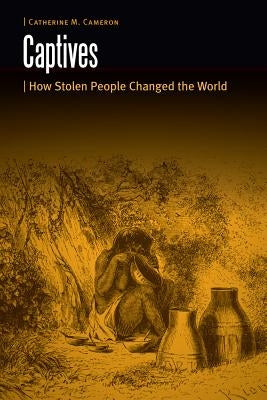 Captives: How Stolen People Changed the World by Cameron, Catherine M.