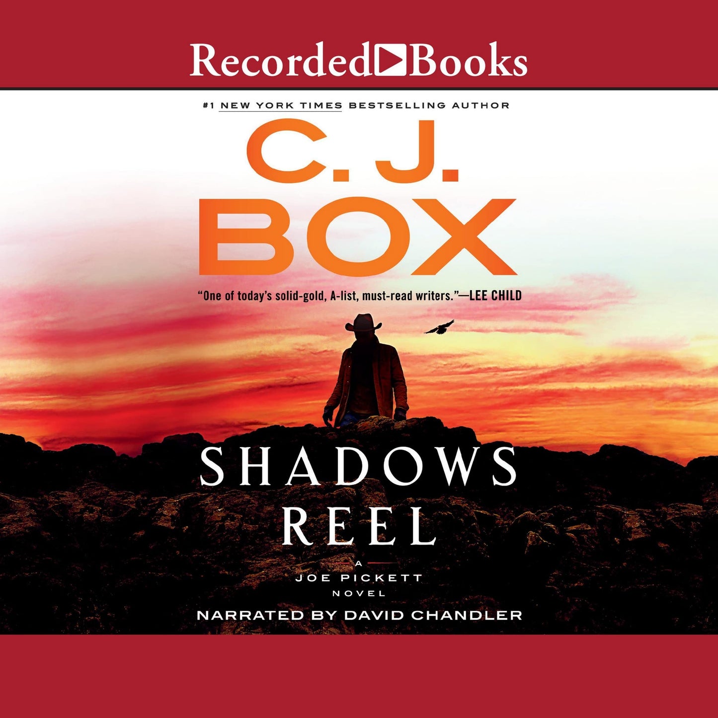 Shadows Reel (Joe Pickett #22)