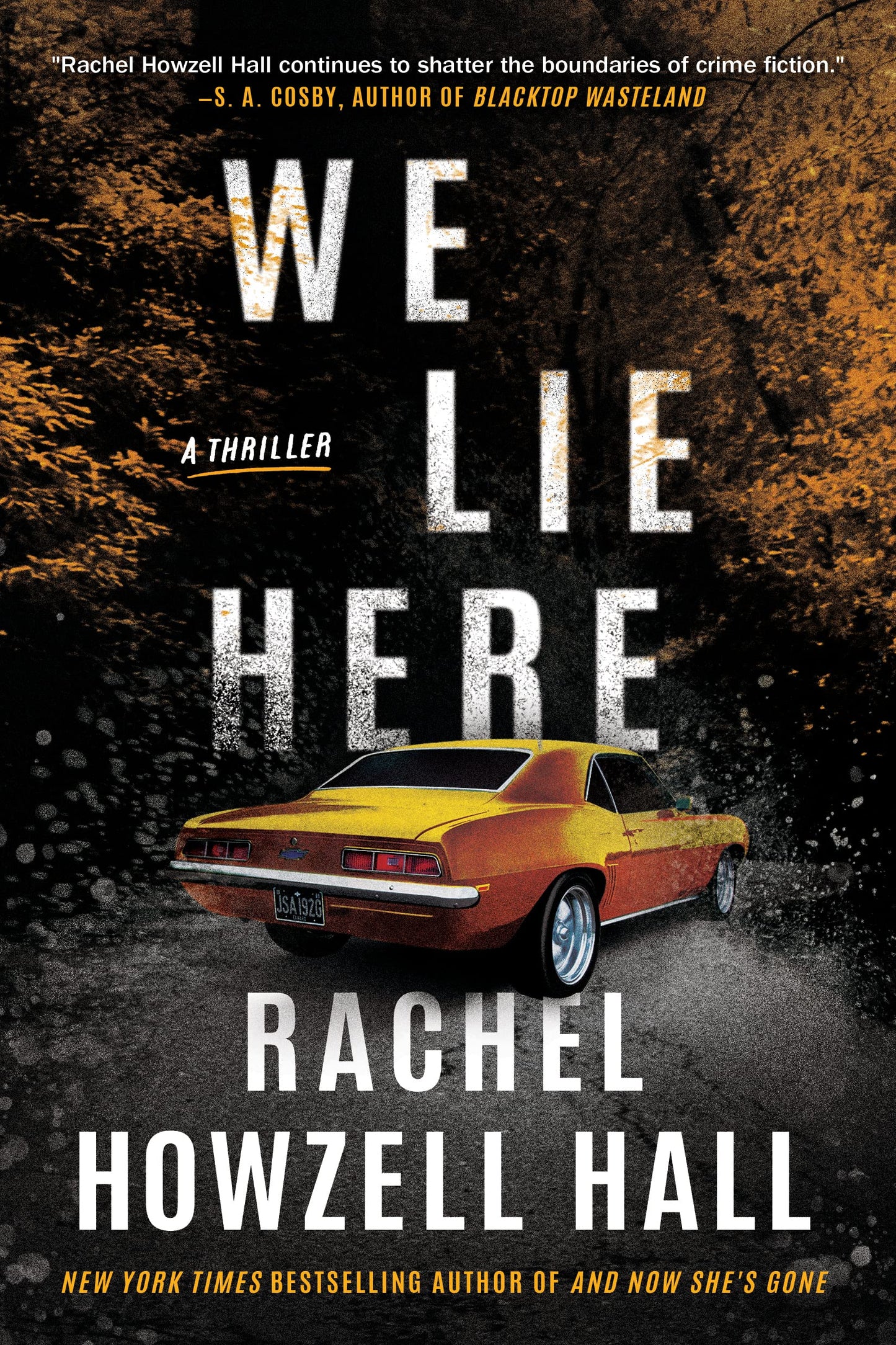 We Lie Here: A Thriller