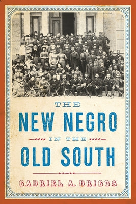 The New Negro in the Old South by Briggs, Gabriel a.