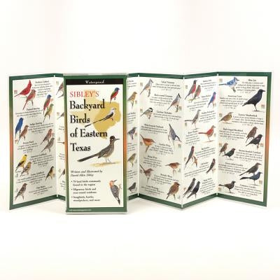 Sibley's Backyard Birds of Eastern Texas by Sibley, David