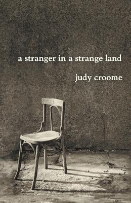 A Stranger in a Strange Land by Croome, Judy