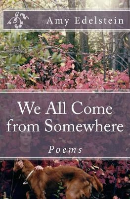 We All Come from Somewhere by Edelstein, Amy