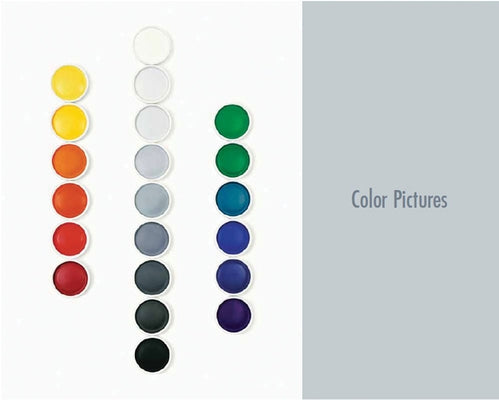 Color Pictures: March 3-April 14, 2012 by Colpitt, Frances