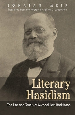 Literary Hasidism: The Life and Works of Michael Levi Rodkinson by Meir, Jonatan