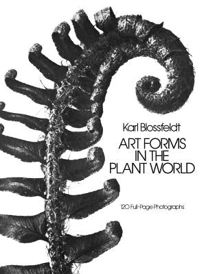 Art Forms in the Plant World by Blossfeldt, Karl