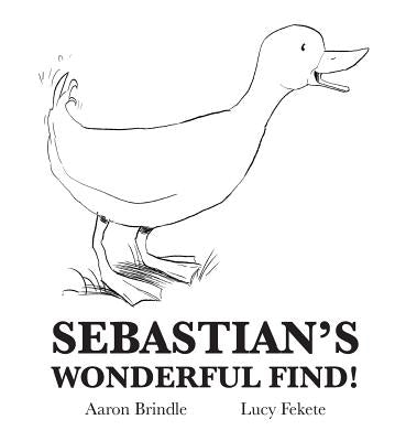 Sebastian's Wonderful Find! by Brindle, Aaron