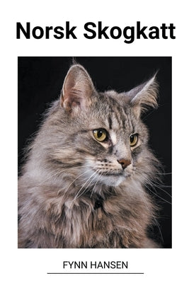 Norsk Skogkatt by Hansen, Fynn