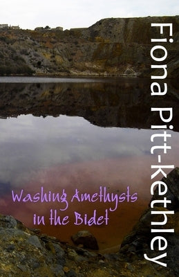 Washing Amethysts in the Bidet by Pitt-Kethley, Fiona
