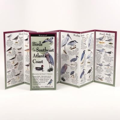 Birds of the Southeast Atlantic Coast by Simmons, Ernest