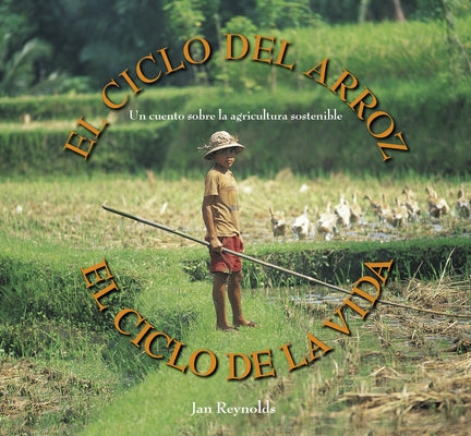 El Ciclo del Arroz, El Ciclo de la Vida: Un Cuento Sobre La Agricultura Sostenible (Cycle of Rice, Cycle of Life: A Story of Sustainable Farming) by Reynolds, Jan