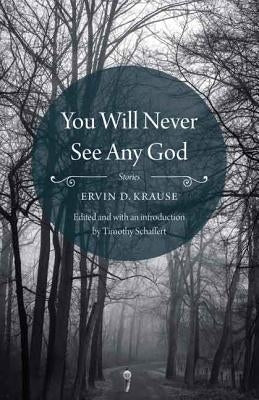 You Will Never See Any God by Krause, Ervin D.