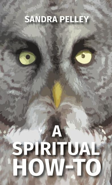 A Spiritual How-To by Pelley, Sandra