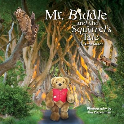 Mr. Biddle and the Squirrel's Tale by Mason, Anne