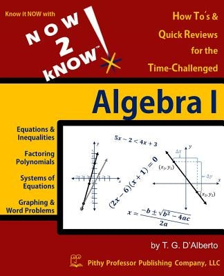 NOW 2 kNOW Algebra 1 by D'Alberto, T. G.