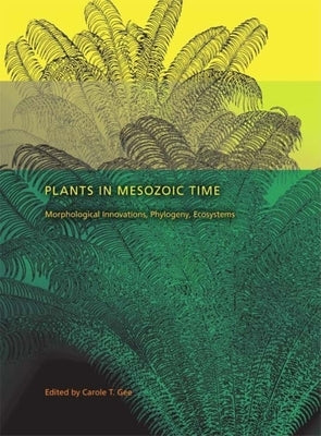 Plants in Mesozoic Time: Morphological Innovations, Phylogeny, Ecosystems by Gee, Carole T.